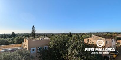 Real Estates picture 10 Ref. 76738