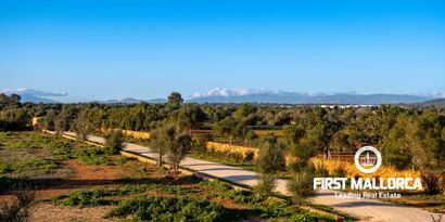 Real Estates picture 17 Ref. Nr. 80850