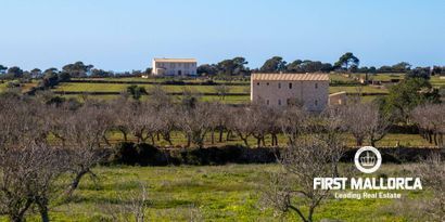 Недвижимость picture 5 Ref 73228