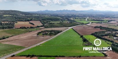 Real Estates picture 7 Ref. 80829