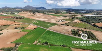 Real Estates picture 8 Ref. 80829