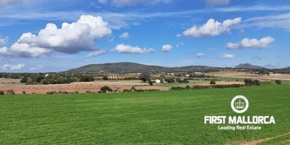 Real Estates picture 9 Ref. 80829