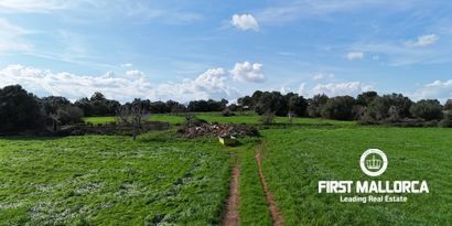 Real Estates picture 10 Ref. 80829