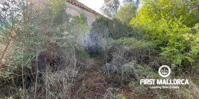 Real Estates picture 15 Ref. 80821