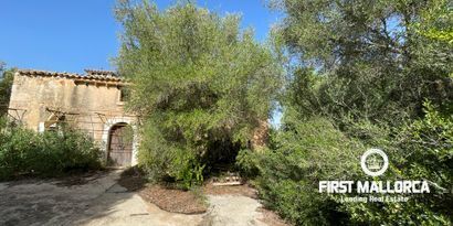 Real Estates picture 16 Ref. 80821