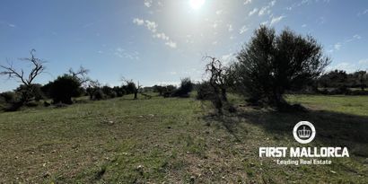 Inmobiliaria picture 3 Ref. Nº. 80820