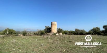 Inmobiliaria picture 1 Ref. Nº. 80820