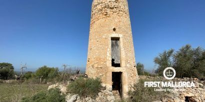 Inmobiliaria picture 0 Ref. Nº. 80820