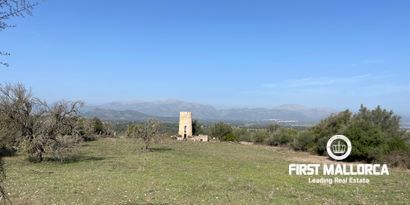 Inmobiliaria picture 2 Ref. Nº. 80820