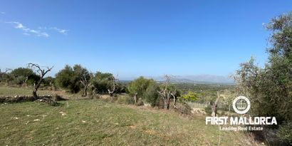 Inmobiliaria picture 5 Ref. Nº. 80820