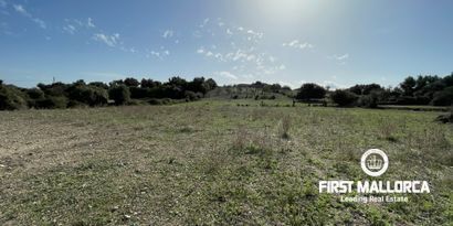 Inmobiliaria picture 6 Ref. Nº. 80820