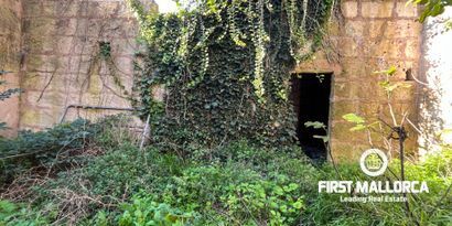 Immobilien picture 1 Ref. Nr. 80775