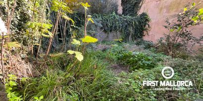 Immobilien picture 0 Ref. Nr. 80775