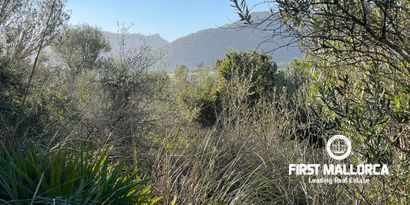 Real Estates picture 5 Ref. Nr. 80924