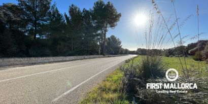 Real Estates picture 3 Ref. Nr. 80924