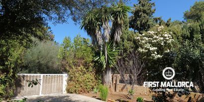 Real Estates picture 1 Ref. Nr. 80926