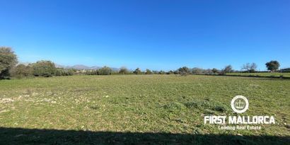 Недвижимость picture 2 Ref R26983