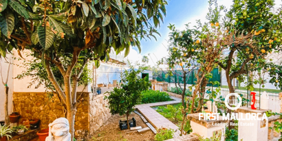 Real Estates picture 0 Ref. 80917