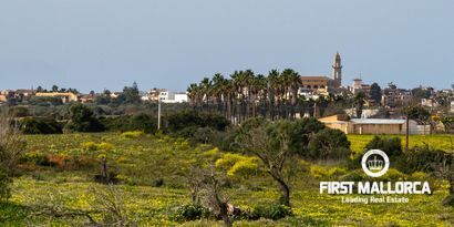 Inmobiliaria picture 9 Ref. Nº. 75580