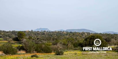 Inmobiliaria picture 8 Ref. Nº. 75580