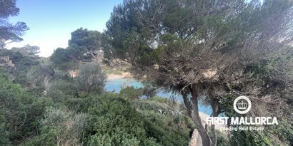 Real Estates picture 11 Ref. 74145