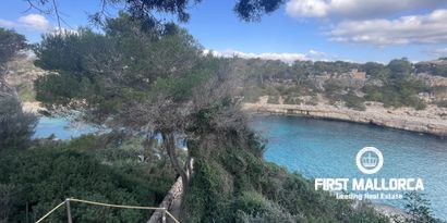 Real Estates picture 3 Ref. 74145