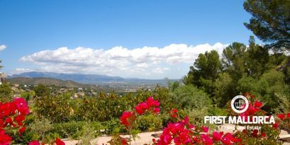 Real Estates picture 33 Ref. 81315