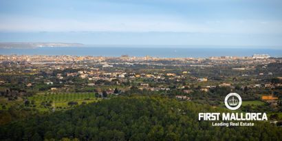 Inmobiliaria picture 12 Ref. Nº. 81061