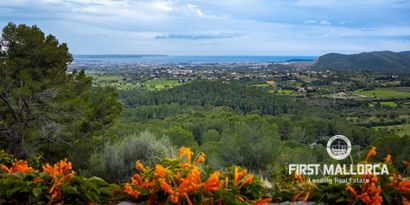 Inmobiliaria picture 23 Ref. Nº. 81061