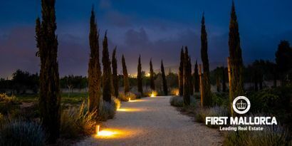 Real Estates picture 6 Ref. 81265