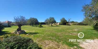 Real Estates picture 2 Ref. 81348