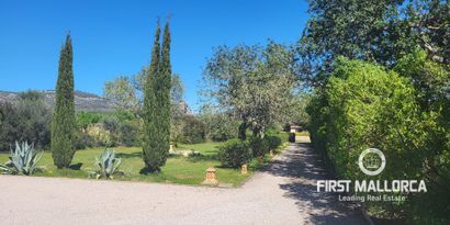 Real Estates picture 4 Ref. 81348