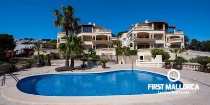 Real Estates picture 19 Ref. 81016