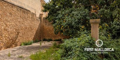 Immobilien picture 8 Ref. Nr. 81375