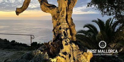 Real Estates picture 26 Ref. Nr. 79001