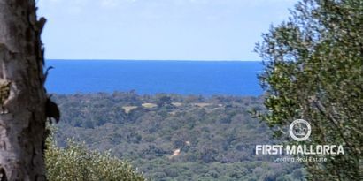 Real Estates picture 0 Ref. 81524