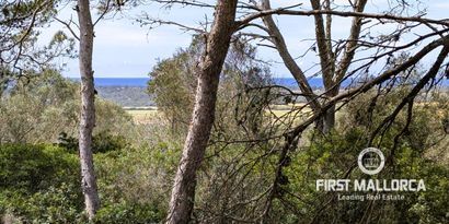 Real Estates picture 5 Ref. 81524