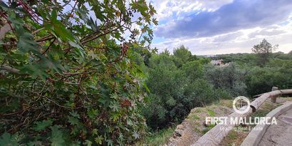 Real Estates picture 5 Ref. Nr. 81302