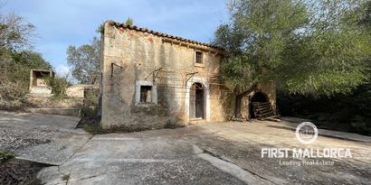 Real Estates picture 1 Ref. 80821