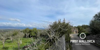 Real Estates picture 12 Ref. 80821