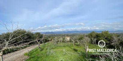 Real Estates picture 14 Ref. 80821