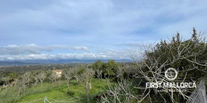 Real Estates picture 13 Ref. 80821