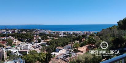 Inmobiliaria picture 10 Ref. Nº. 78463