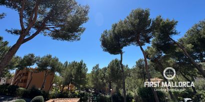 Inmobiliaria picture 20 Ref. Nº. 81536