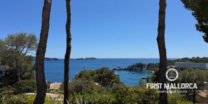 Inmobiliaria picture 19 Ref. Nº. 81536