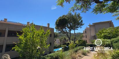 Inmobiliaria picture 18 Ref. Nº. 81536