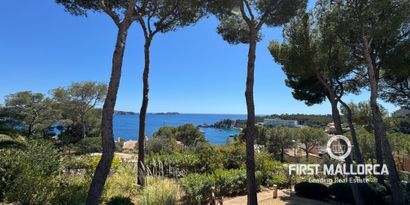 Inmobiliaria picture 0 Ref. Nº. 81536