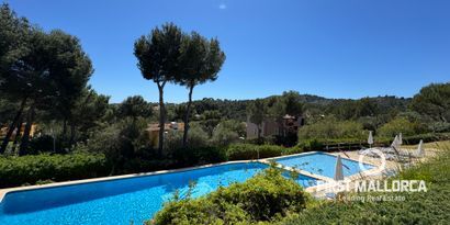 Inmobiliaria picture 1 Ref. Nº. 81536