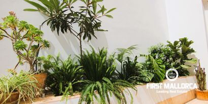 Inmobiliaria picture 17 Ref. Nº. 81549