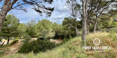 Real Estates picture 12 Ref. 79401